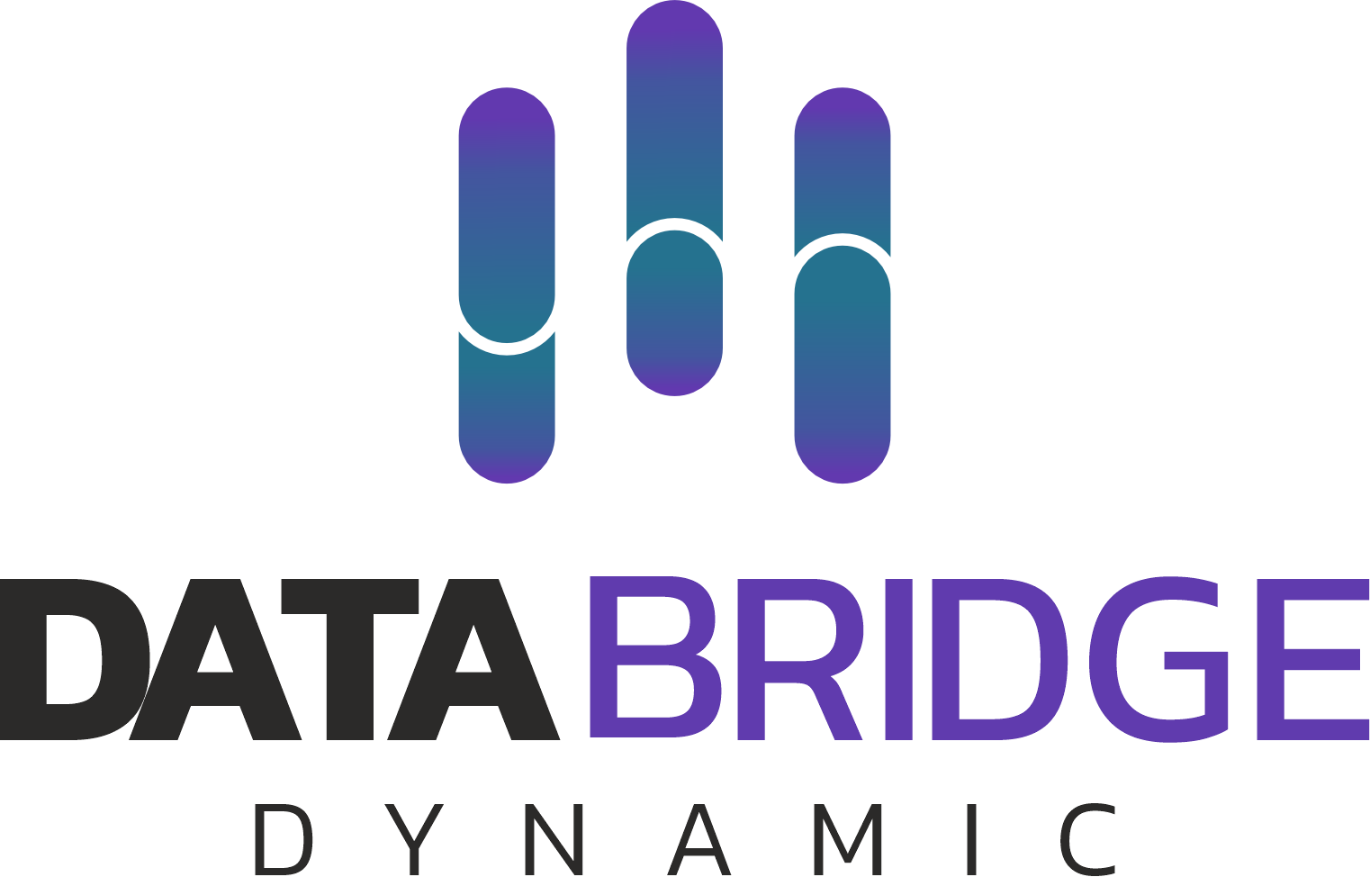 Databridge Dynamic Logo