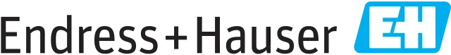 Endress+Hauser India logo