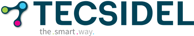 Tecsidel India logo