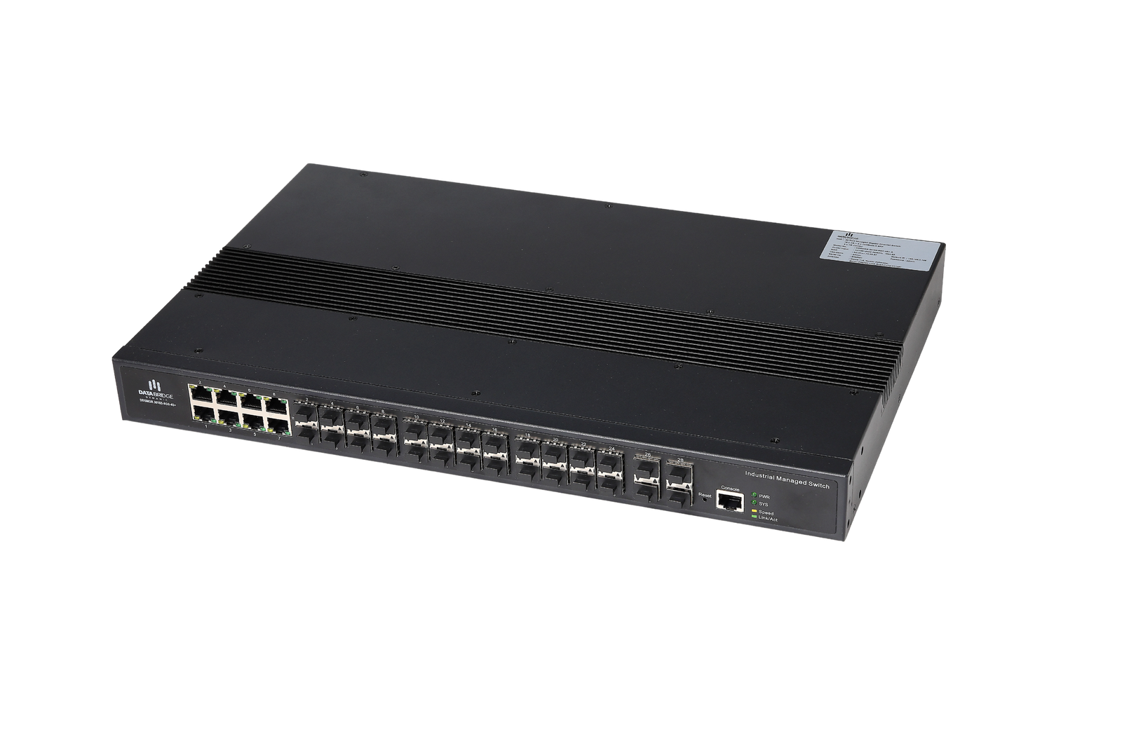 DDSMGR 30XX Giga Series L2+